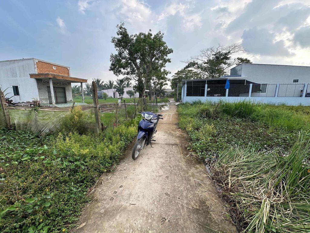 BÁN ĐẤT NÊN