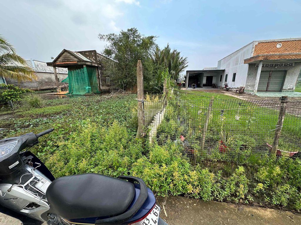 BÁN ĐẤT NÊN