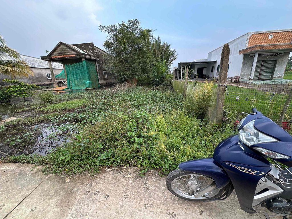 BÁN ĐẤT NÊN