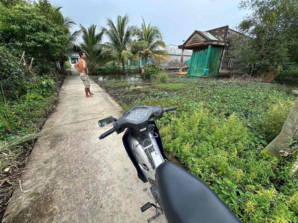BÁN ĐẤT NÊN