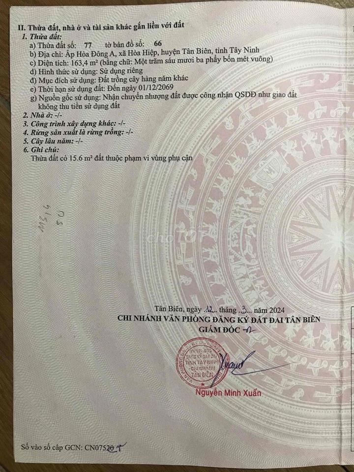 ĐẤT GIÁ RẺ