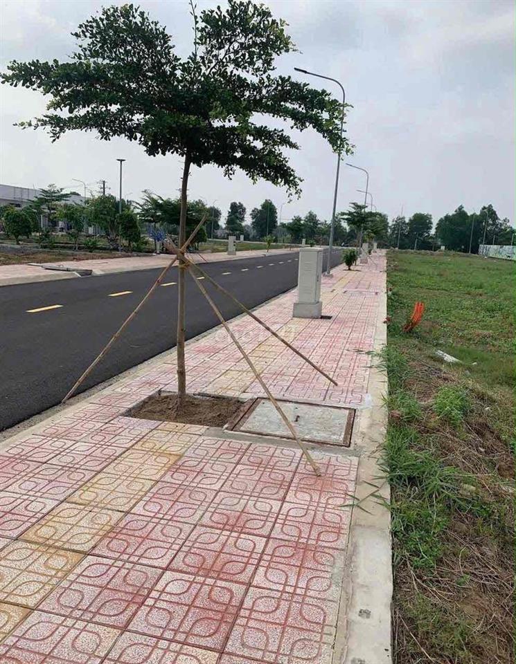 Bán Đất Nền Bến Lức