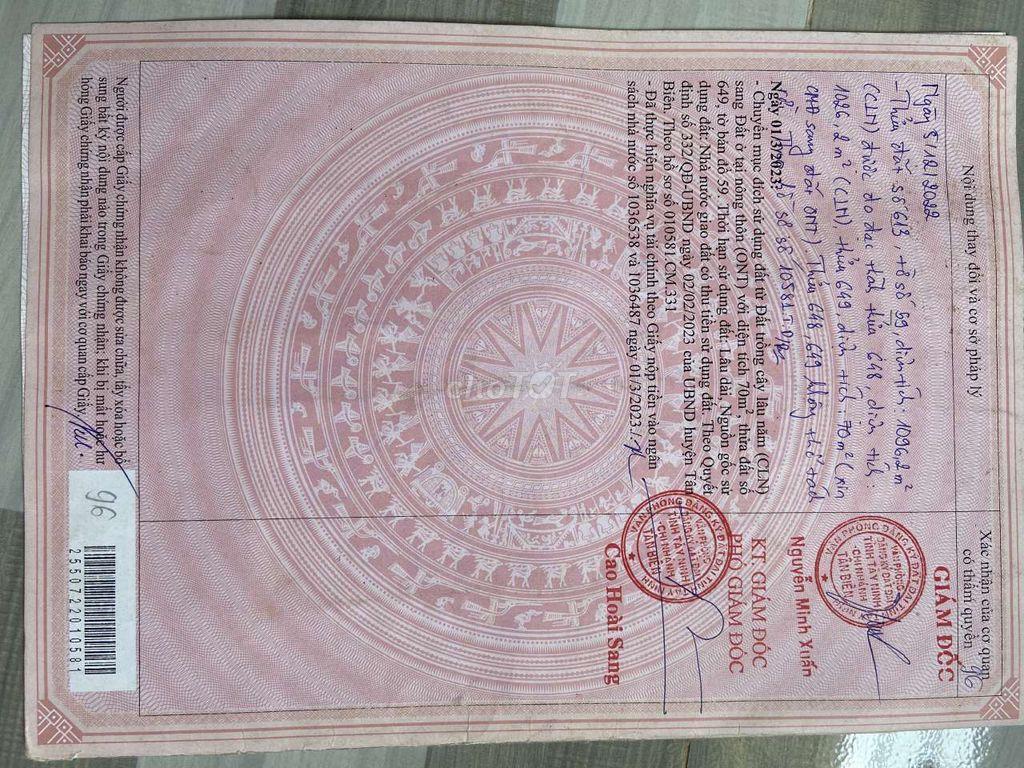 Tôi cần bán đất Tây Ninh