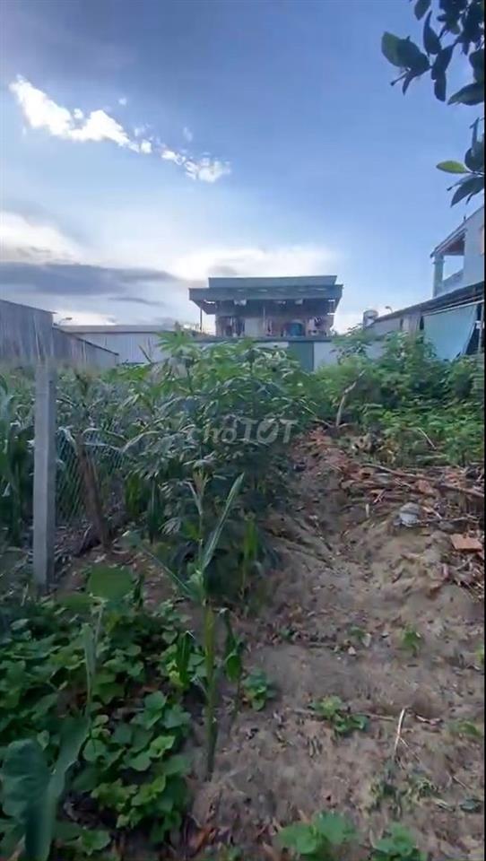 Bán Đất tại Quốc lộ 15A - Phường Thái Hòa (đất Phường Quang Phong cũ)