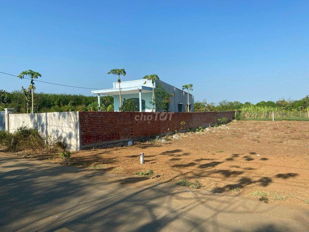 Đất Long Tân 213,6m² – 80m² Thổ Cư – Mặt Tiền Đường Nhựa – Sổ Riêng