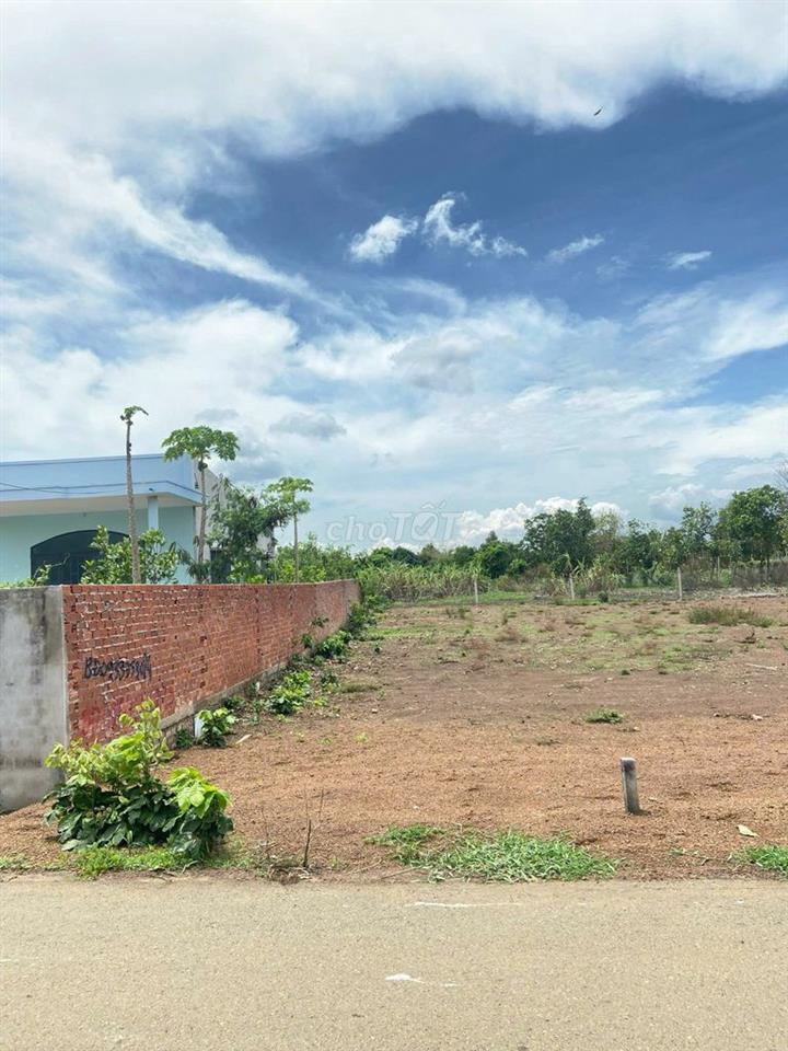 Đất Long Tân 213,6m² – 80m² Thổ Cư – Mặt Tiền Đường Nhựa – Sổ Riêng