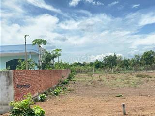 Đất Long Tân 213,6m² – 80m² Thổ Cư – Mặt Tiền Đường Nhựa – Sổ Riêng