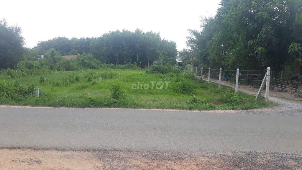ĐẤT 223m2 Ở CỦ CHI GIÁ MỀM CHỜ CHỦ MỚI