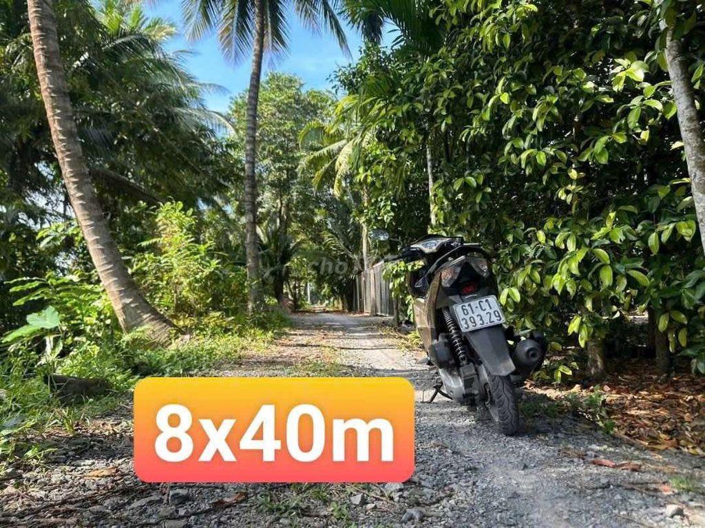 BÁN ĐẤT MẶT TIỀN AN SƠN 14 – VIEW RẠCH (8x40m, THỔ CƯ 100m²)