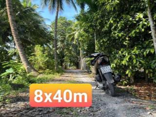 BÁN ĐẤT MẶT TIỀN AN SƠN 14 – VIEW RẠCH (8x40m, THỔ CƯ 100m²)