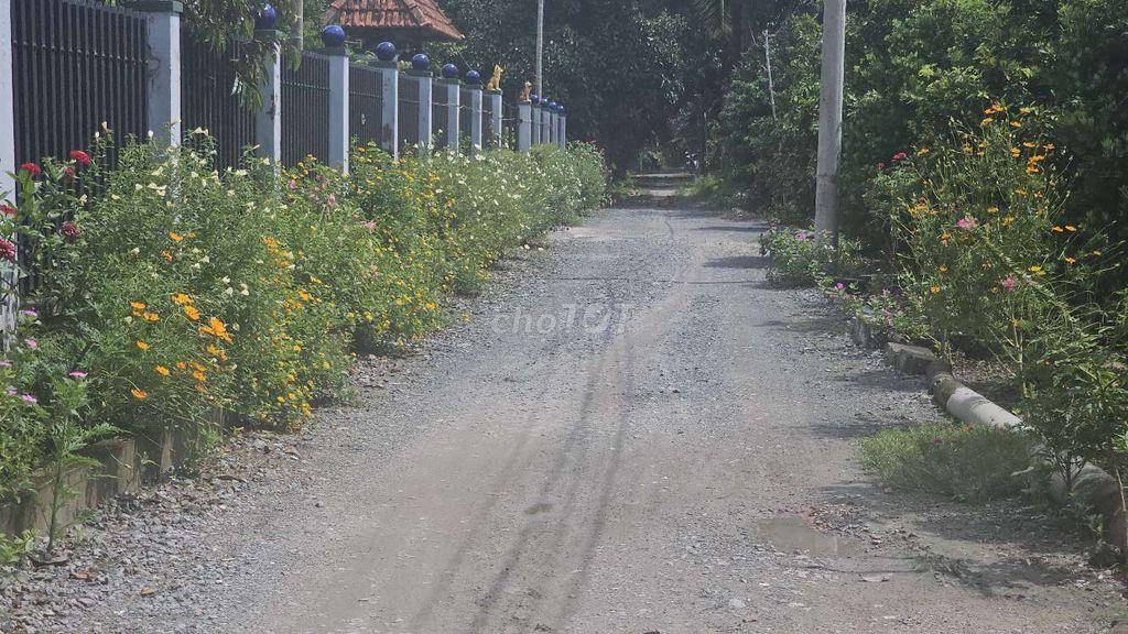 BÁN ĐẤT MẶT TIỀN AN SƠN 14 – VIEW RẠCH (8x40m, THỔ CƯ 100m²)