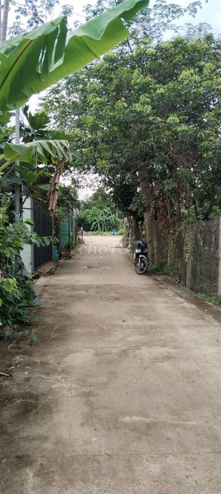 cho thuê phòng ở riêng biệt