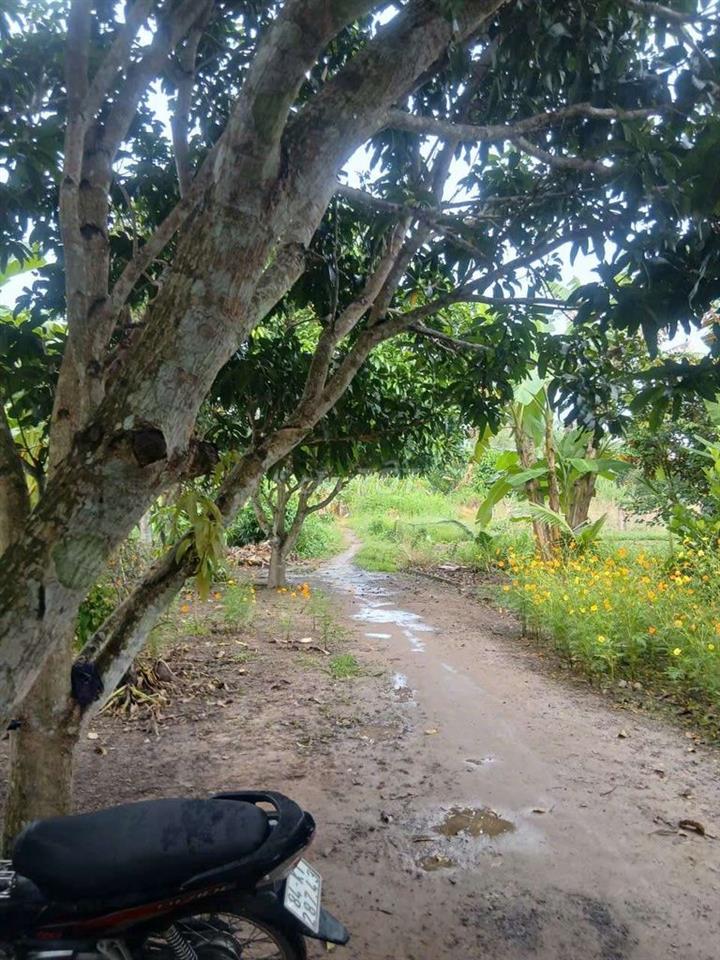 hơn 1000m²đất vườn khu vực Ba Lán gần khu di tích Giàn Gừa