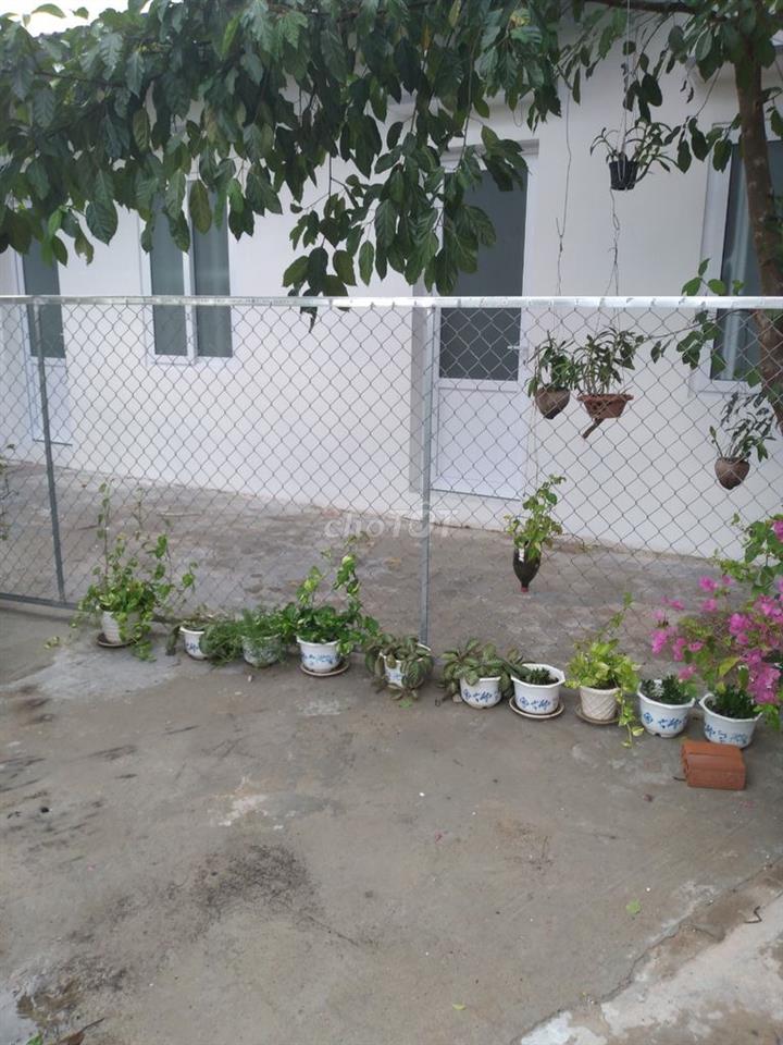 Phòng trọ Sân Vườn gần Khu Công Nghiệp Phan Thiết, Bệnh Viện tỉnh