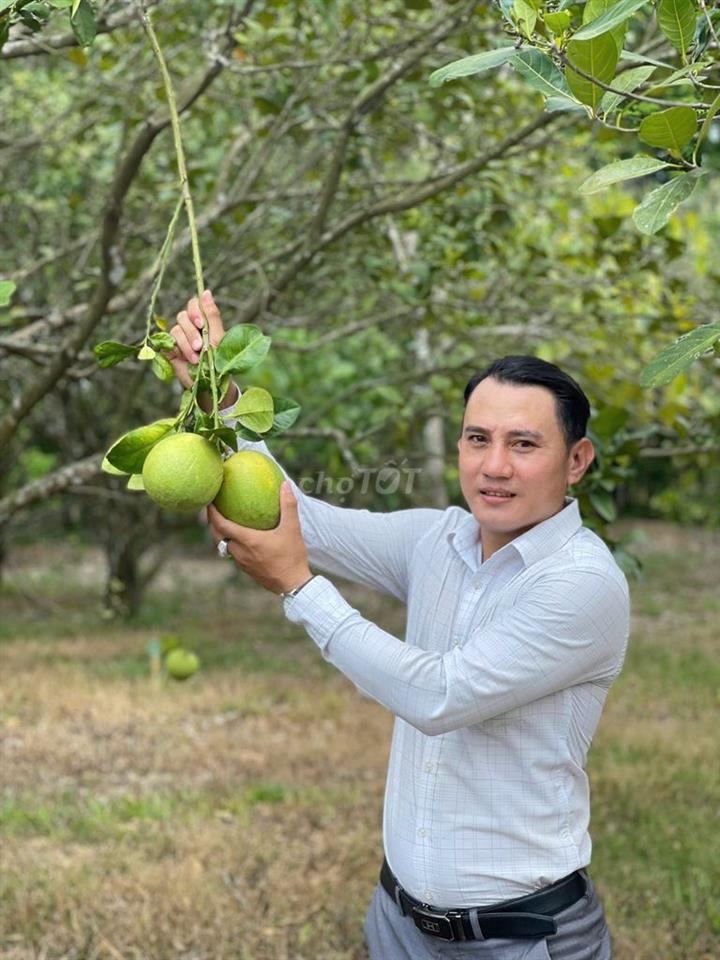 Đất vườn