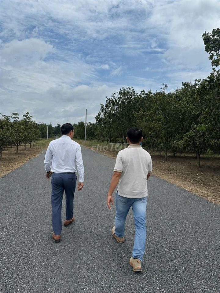 Đất vườn