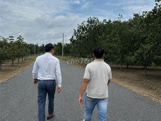 Đất vườn