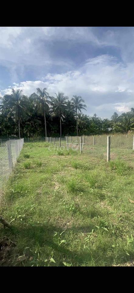 Bán đất tại xã Xuân Đông, Tiền Giang, 350 triệu, 146.3m2 full thổ cư