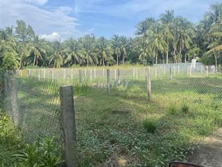 Bán đất tại xã Xuân Đông, Tiền Giang, 350 triệu, 146.3m2 full thổ cư