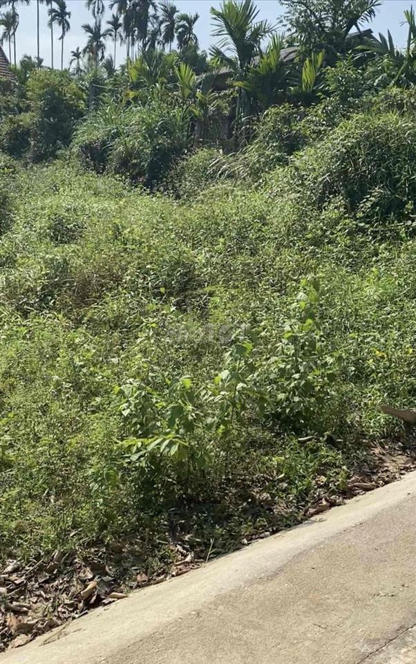Đất thổ cư đường ô tô giá siêu rẻ