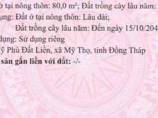 Bán đất nền Ấp Mỹ Phú Đất Liền