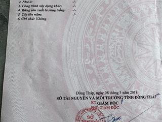 Bán Đất Nền Trong Cụm Công Nghiệp Cái Tàu Hạ, Châu Thành, Đồng Tháp