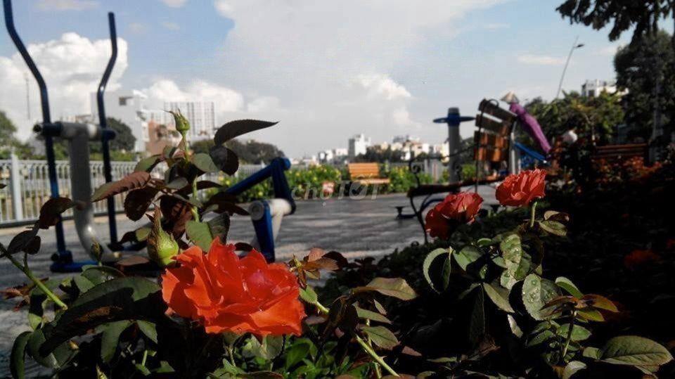 🏠 CHO THUÊ NHÀ NGUYÊN CĂN - PHÚ NHUẬN 🏠