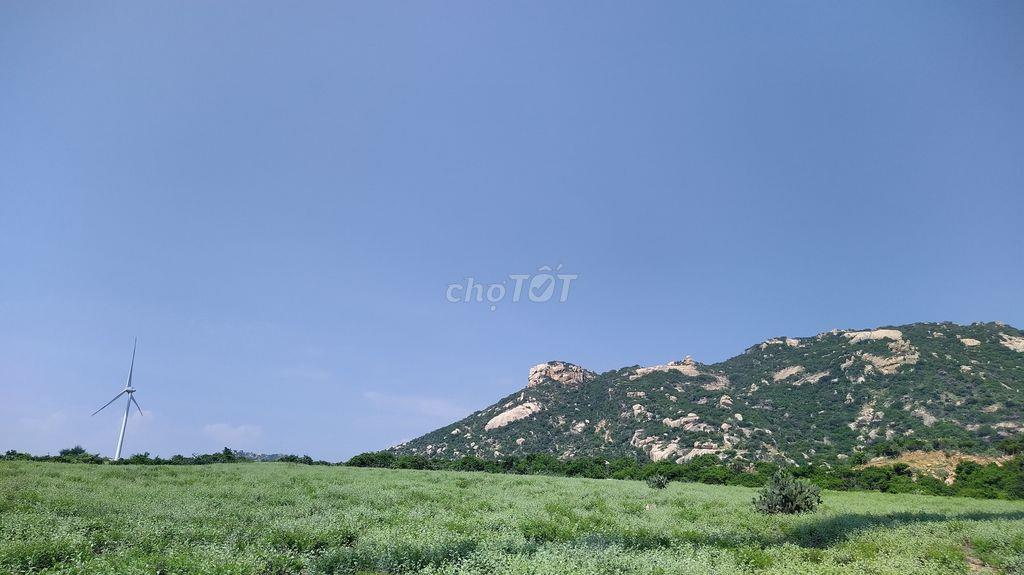 Cần bán 6000m2 đất mặt tiền ô tô, view thiên nhiên đẹp.