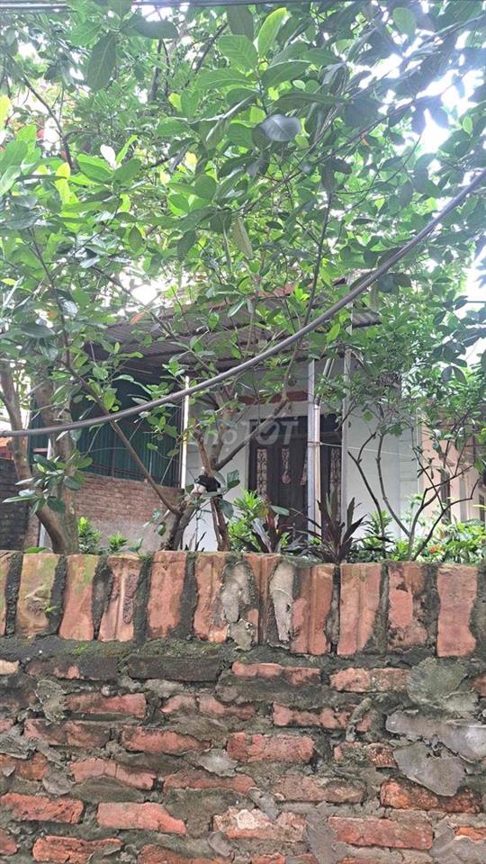 cần bán nhà chính chủ