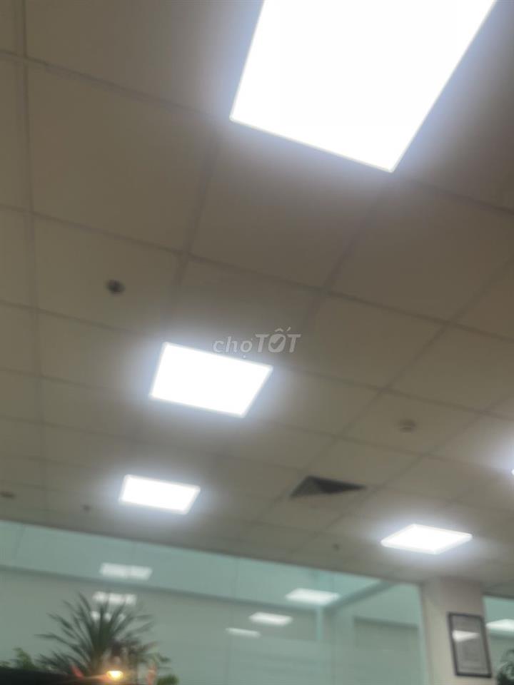 Cho thuê nhà nguyên căn hoạch phòng trọ