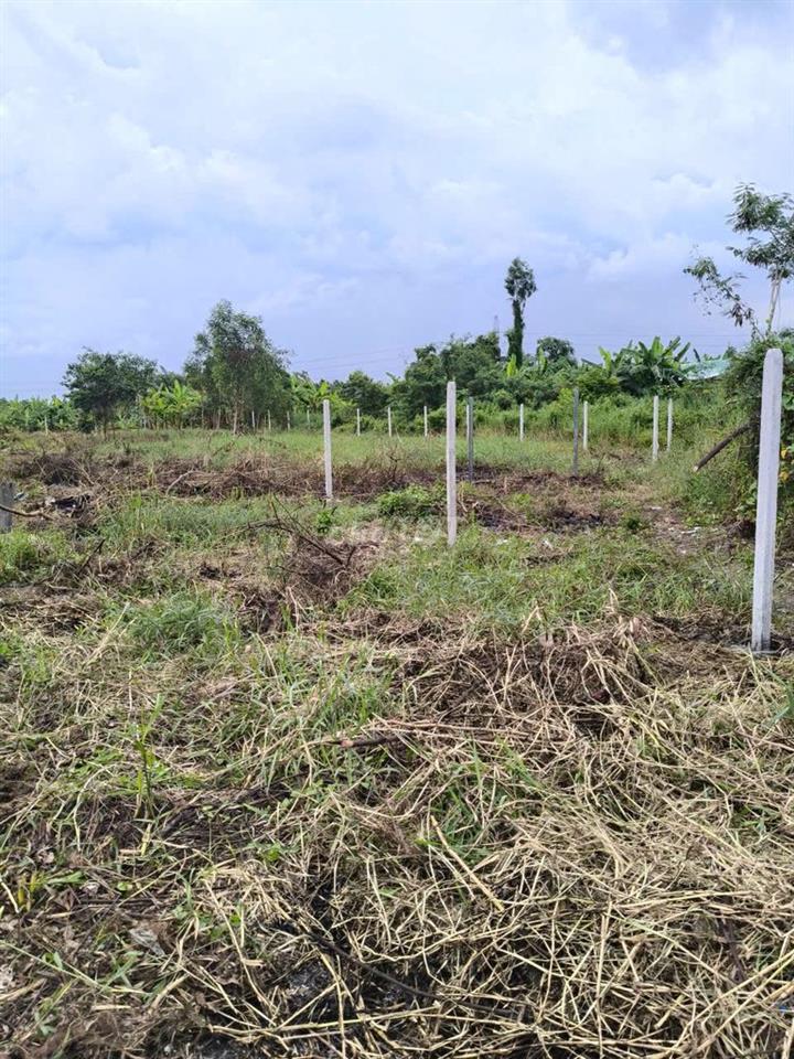 CẦN TIỀN BÁN GẤP