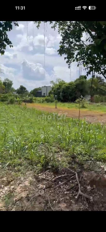 CHỦ NGỢP CẦN BÁN GẤP