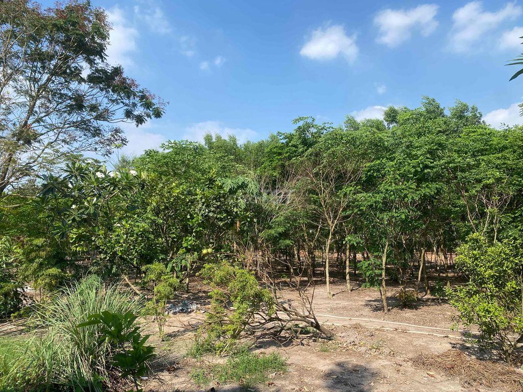 Chính chủ bán 2450m2 đất An Viễn giáp TT Trảng Bom