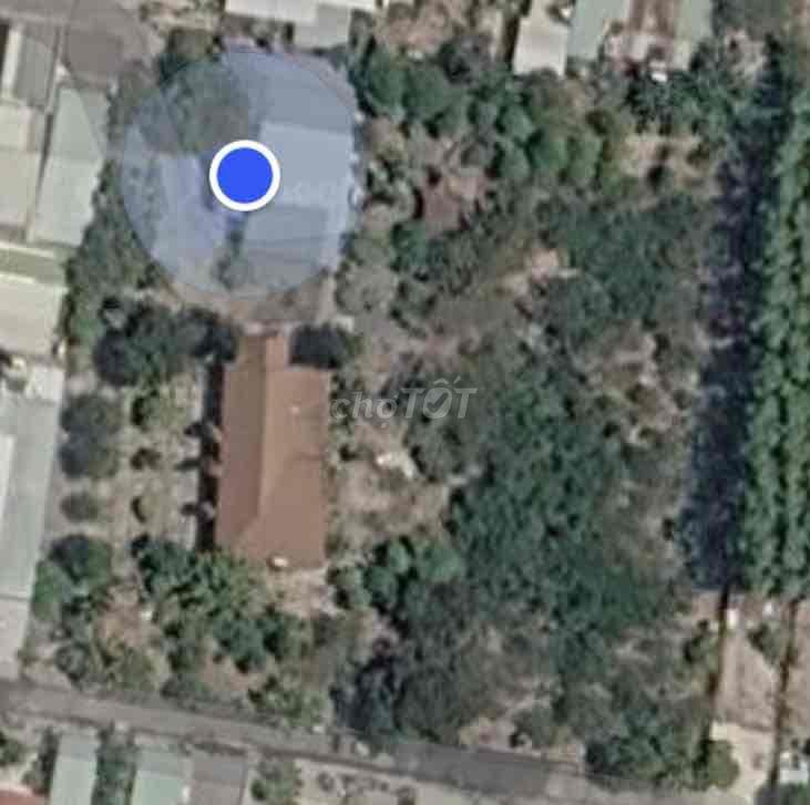 Chính chủ bán 2450m2 đất An Viễn giáp TT Trảng Bom
