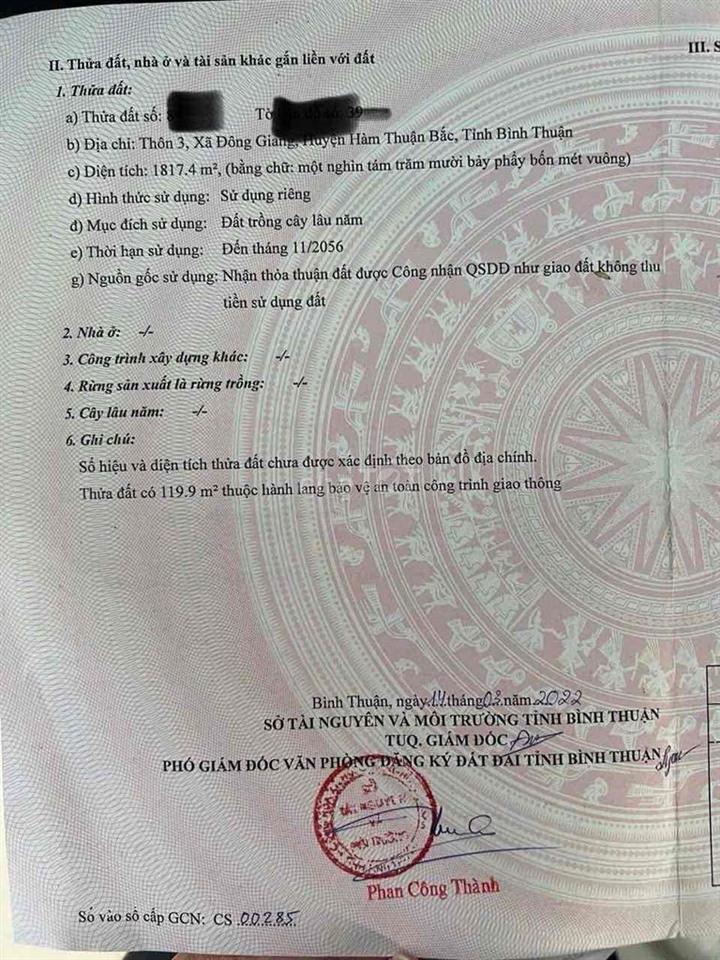 ĐẤT VÀNG RẤT PHÙ HỢP ĐẦU TƯ