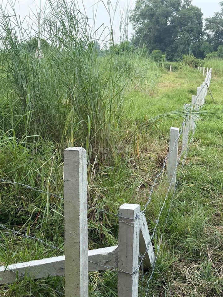 cần bán đất giá rẻ