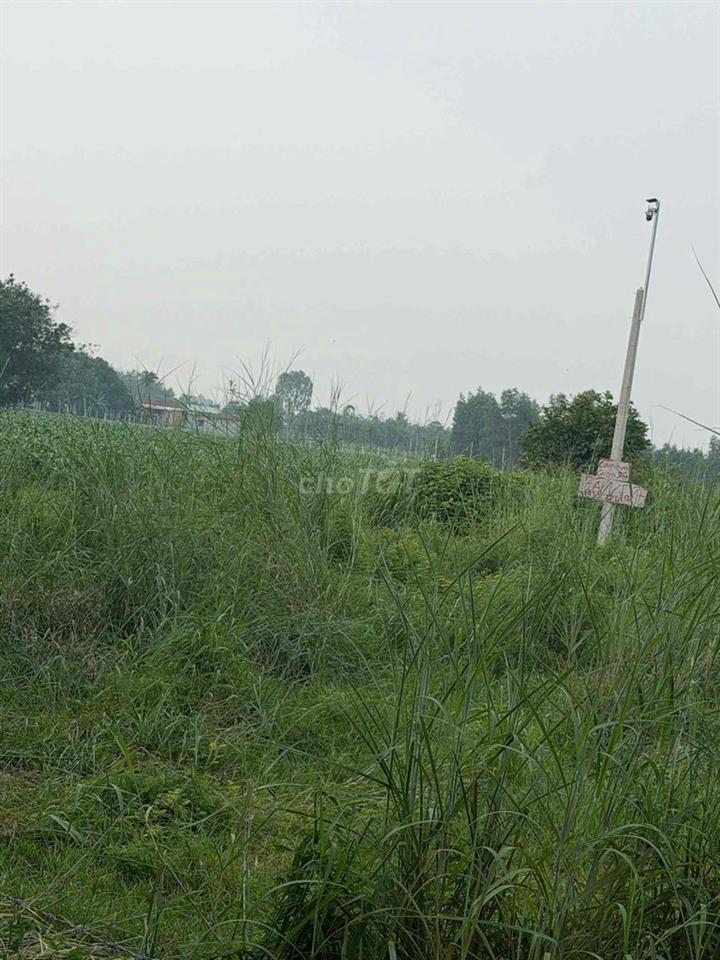 cần bán đất giá rẻ