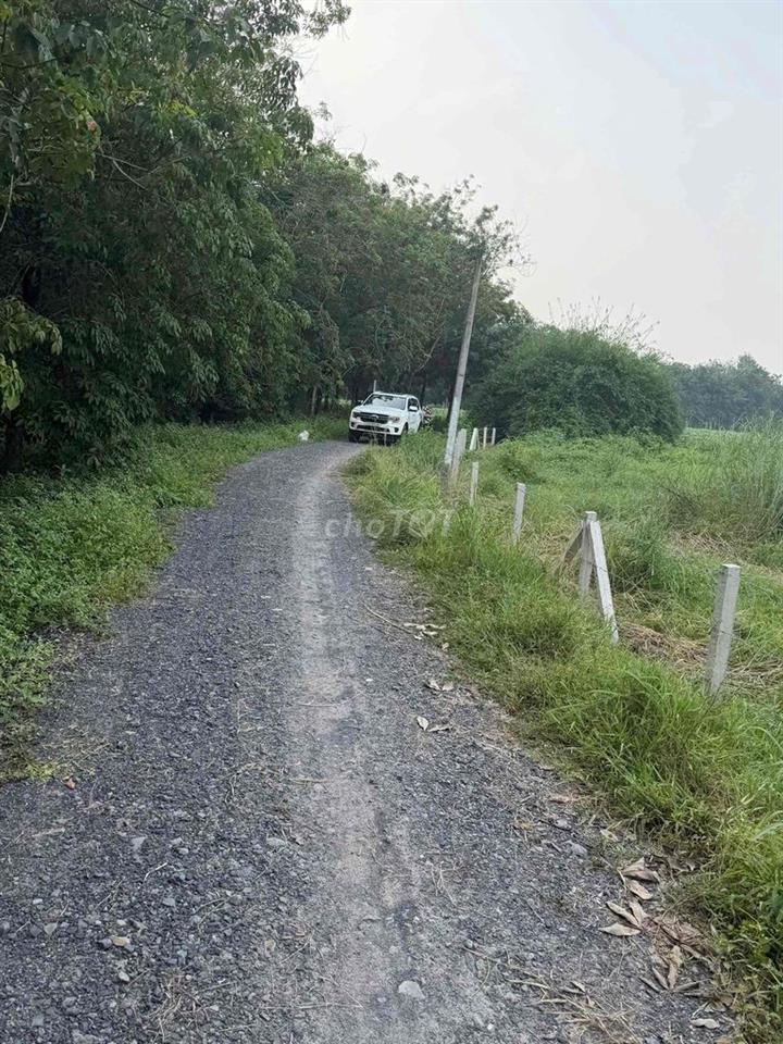 cần bán đất giá rẻ