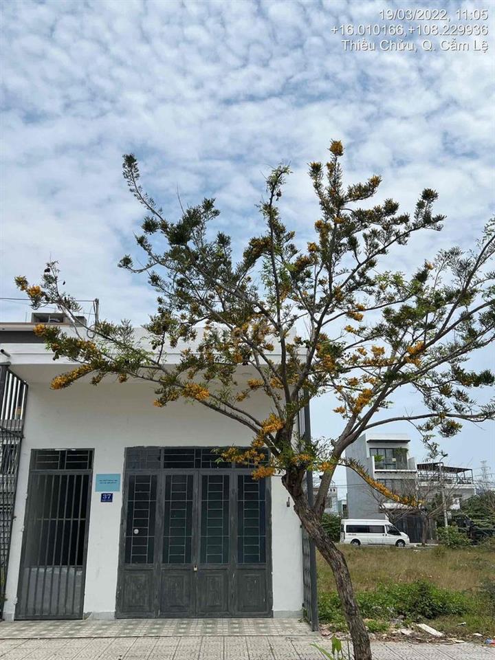 Phòng trọ đường Thiều Chửu, Hoà Xuân