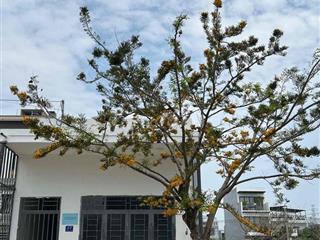 Phòng trọ đường Thiều Chửu, Hoà Xuân