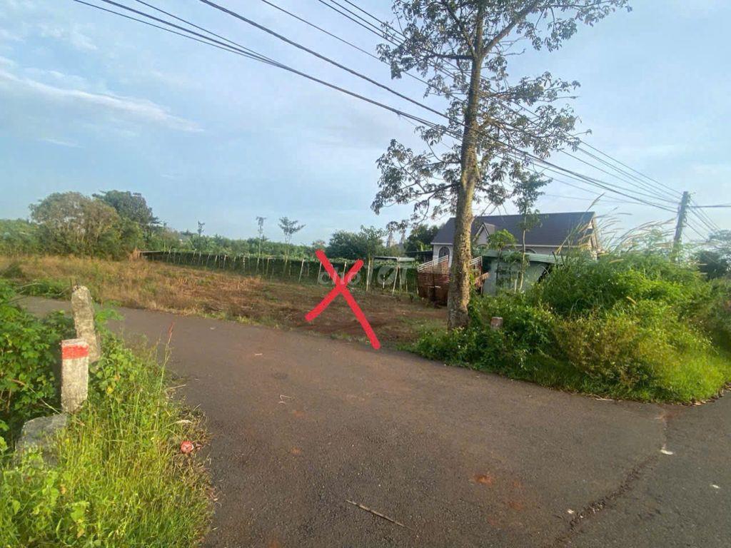 Bán đất thổ cư giá rẻ