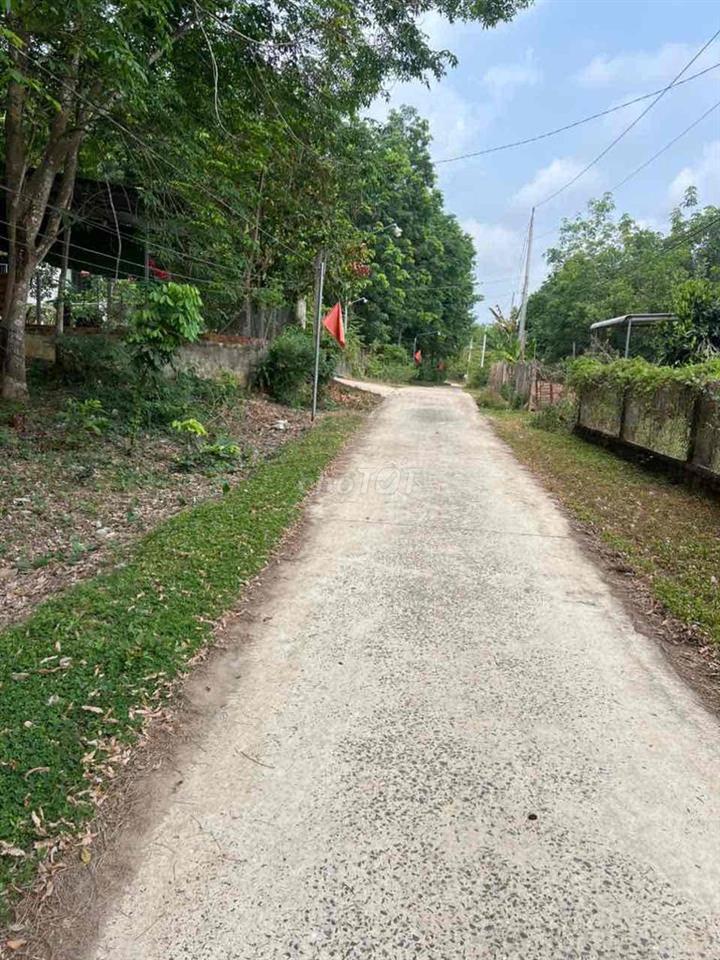 Chính chủ cần bán đất