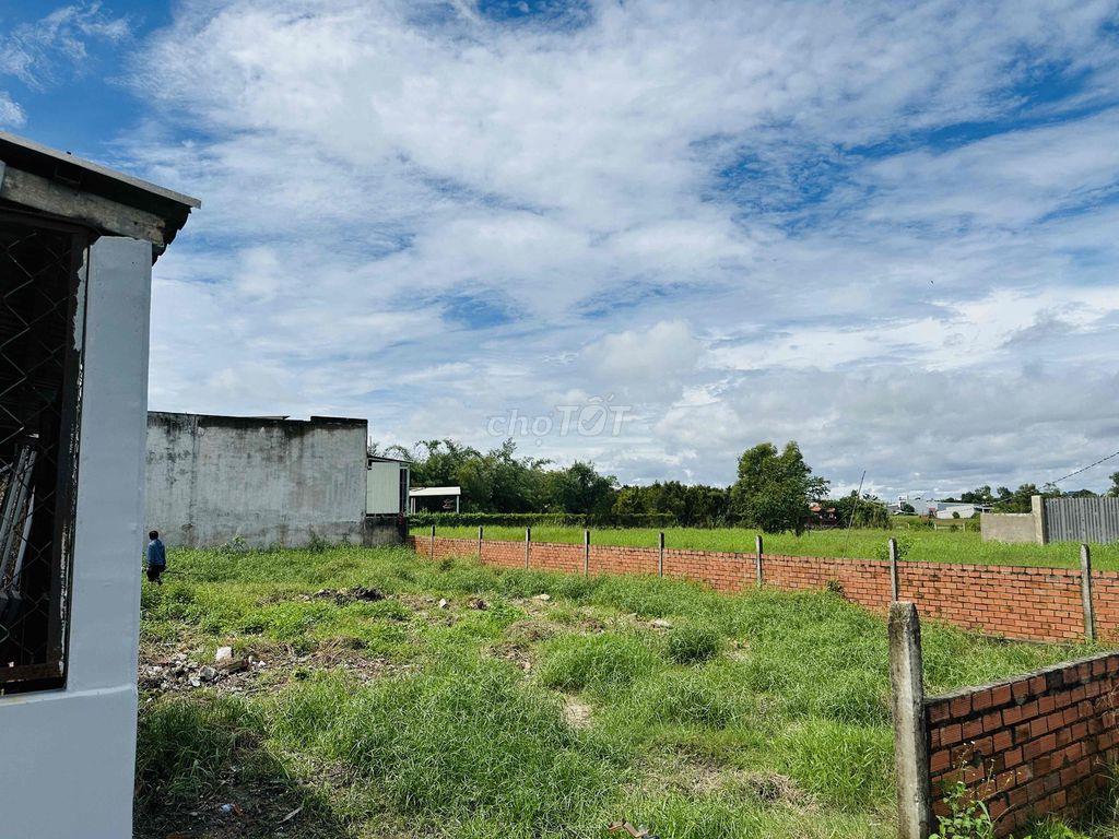 CHO THUÊ ĐẤT TẠI TÂN LẬP, LONG AN