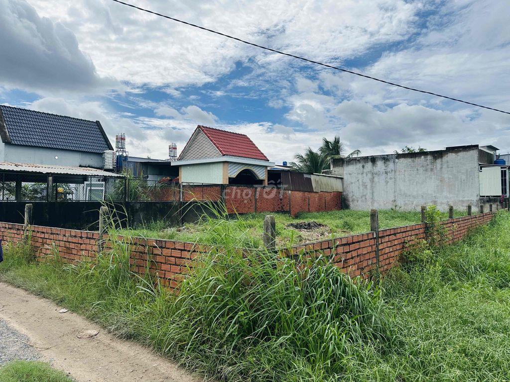 CHO THUÊ ĐẤT TẠI TÂN LẬP, LONG AN