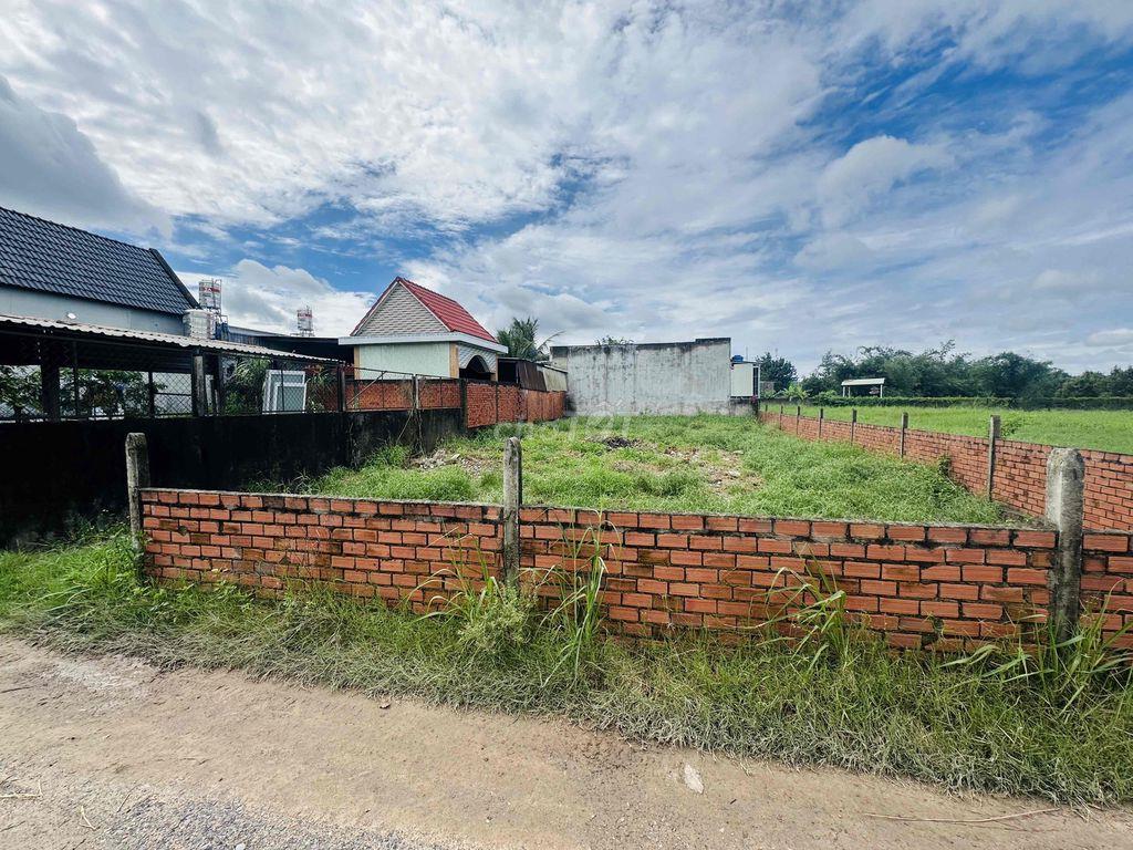 CHO THUÊ ĐẤT TẠI TÂN LẬP, LONG AN