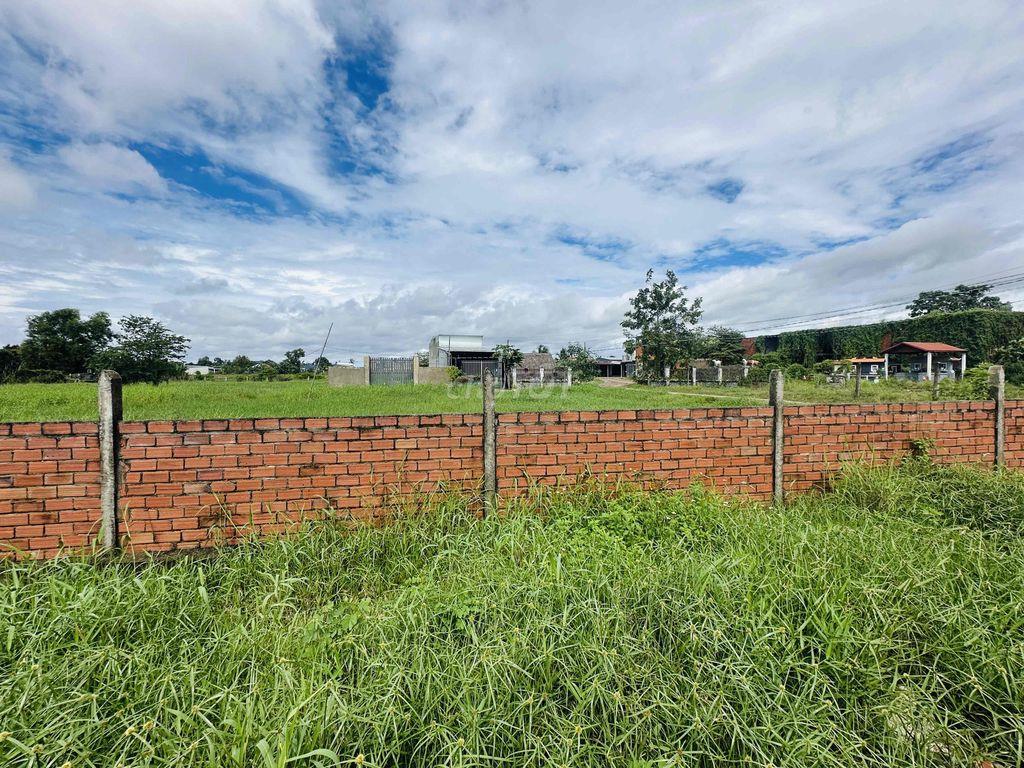CHO THUÊ ĐẤT TẠI TÂN LẬP, LONG AN