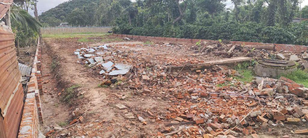 Bán đất mặt tiền nguyễn thị định tỉnh lộ 10
