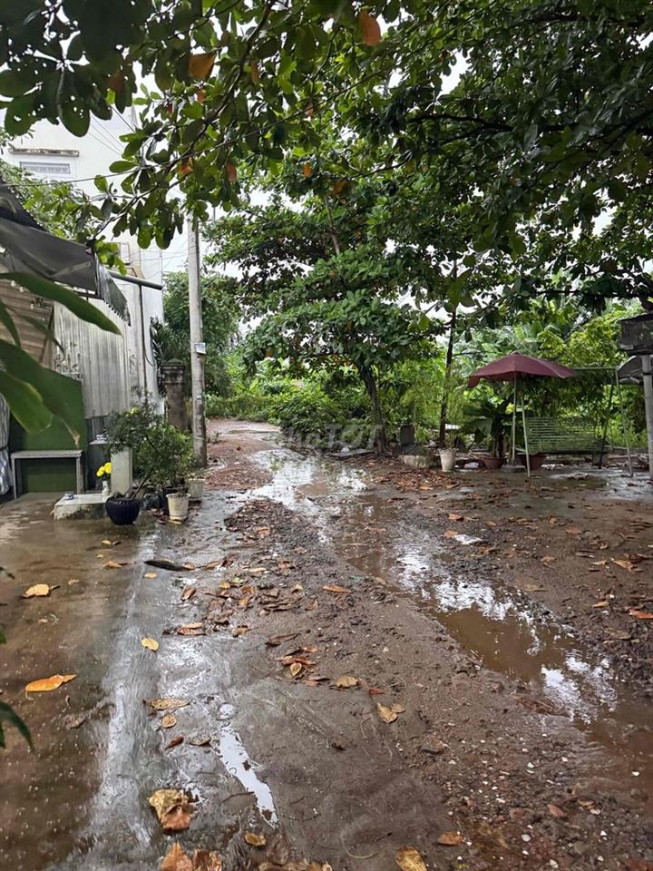cần bán giải quyết công việc