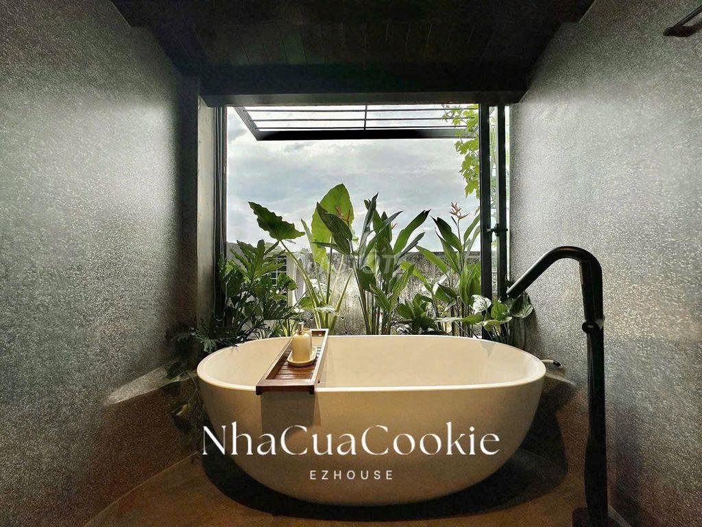 Bình giã dự án mới