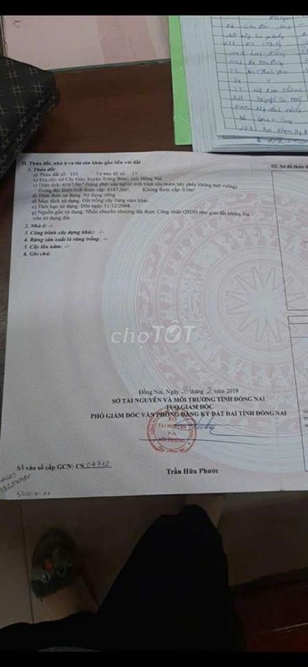 cc cần bán đất